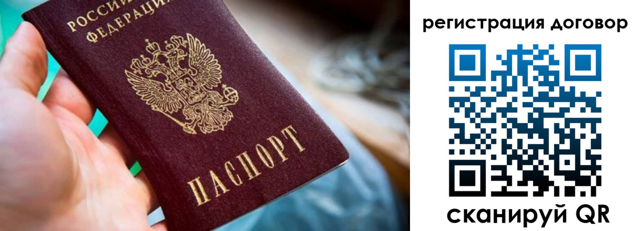 прописка гарантия в Волгодонске